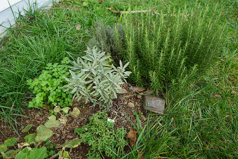 herb gardens