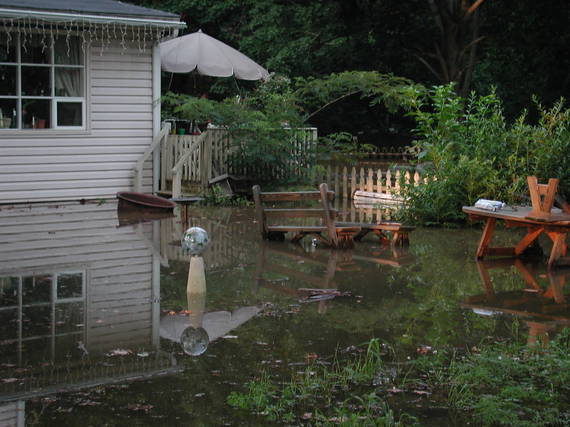 Flooded garden