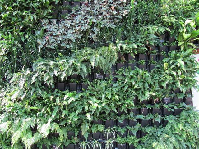 Front garden green wall