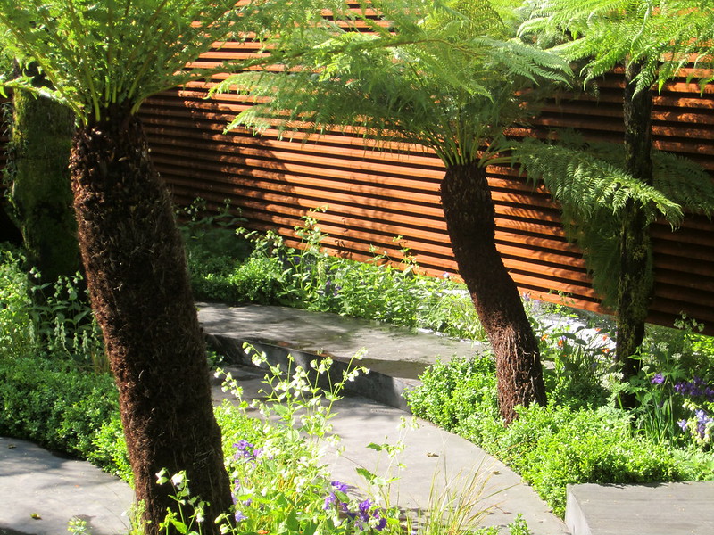slatted fence with tree ferns