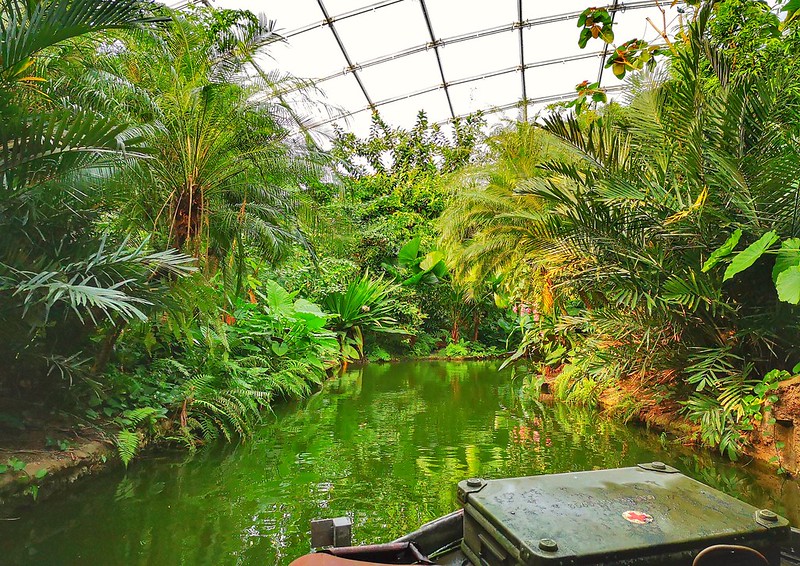Tropical garden pond