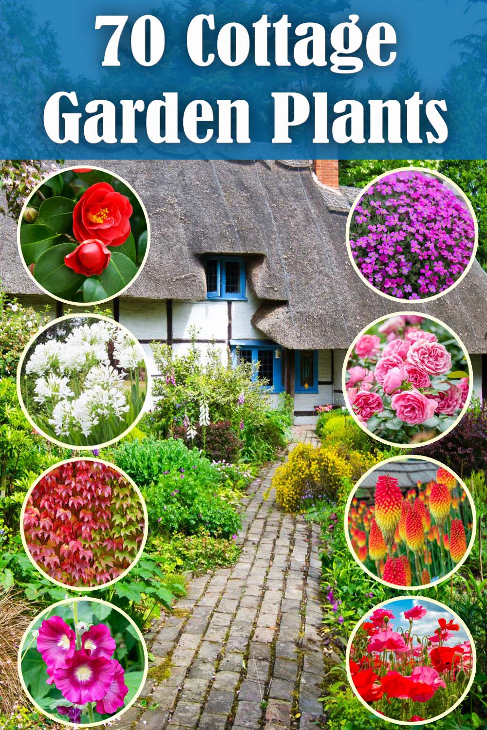Plants for cottage gardens