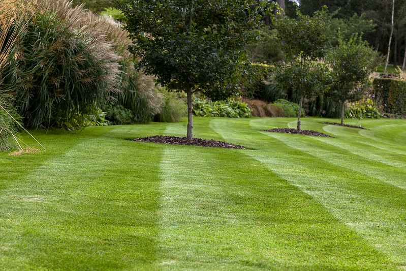 Sloping lawn