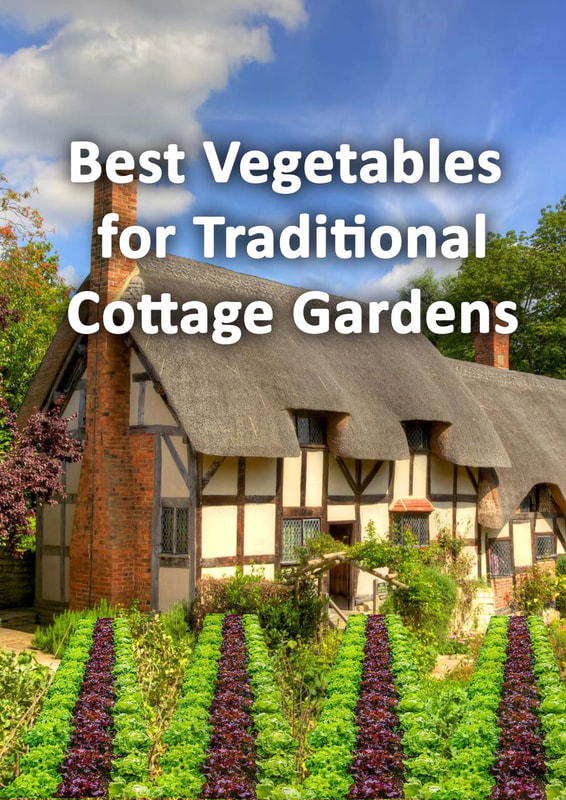 Best vegetables for cottage gardens