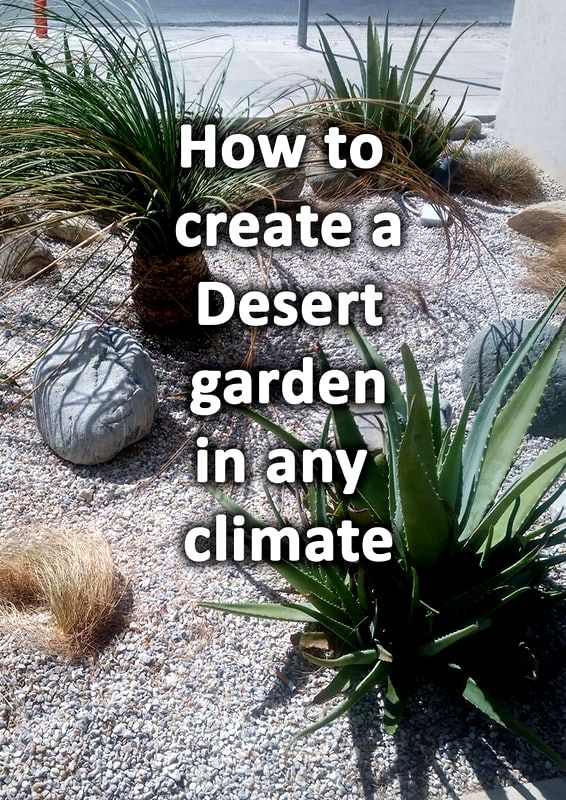 How to make a desert garden