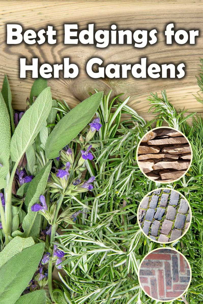 Best edging for herb gardens