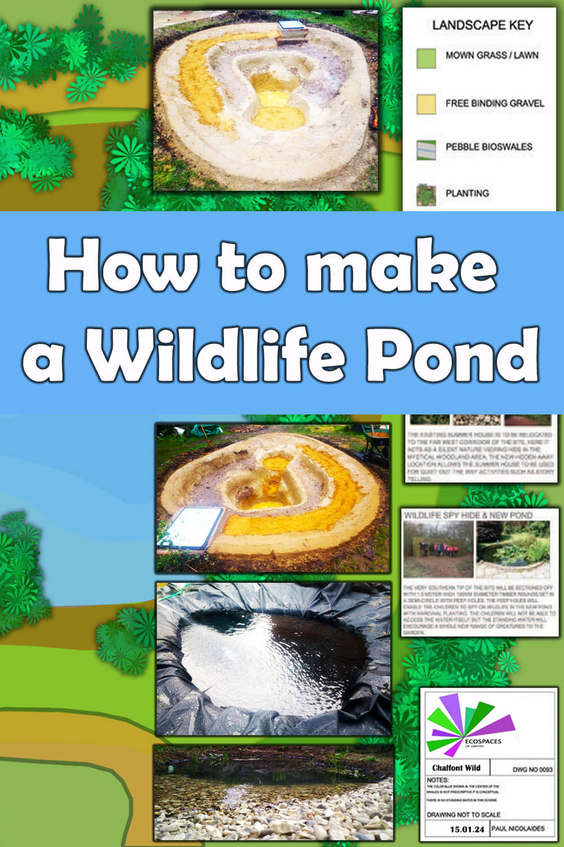 how to make a wildlife pond
