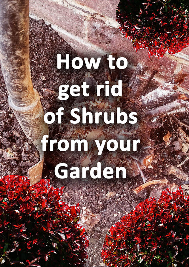 how to get rid of shrubs from your garden