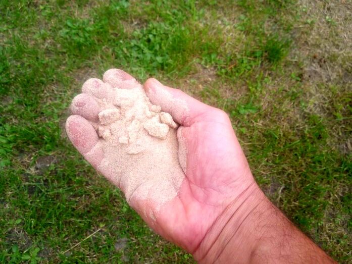 Topdressing a lawn with lawn sand by hand