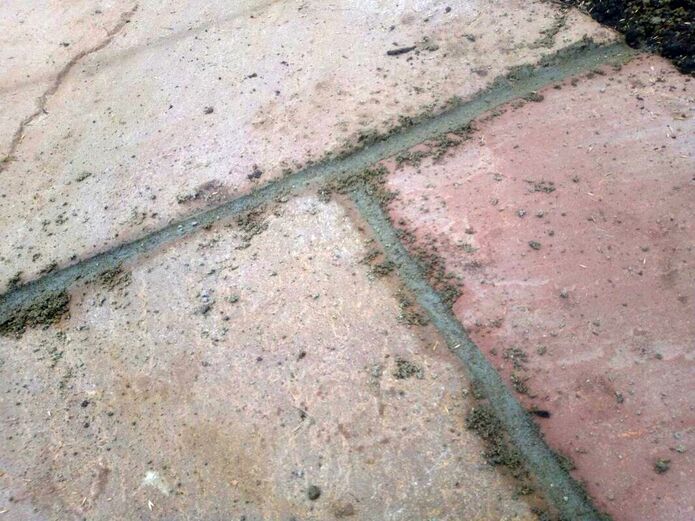 Jointing paving