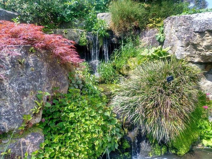 Naturalistic water feature 