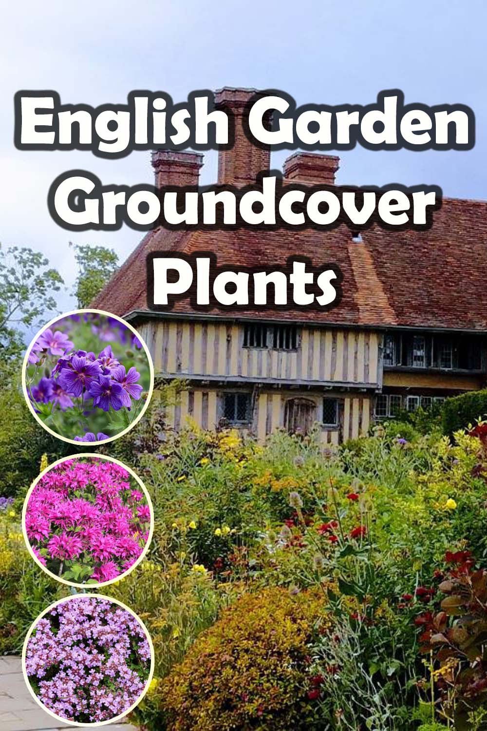 English garden groundcovers