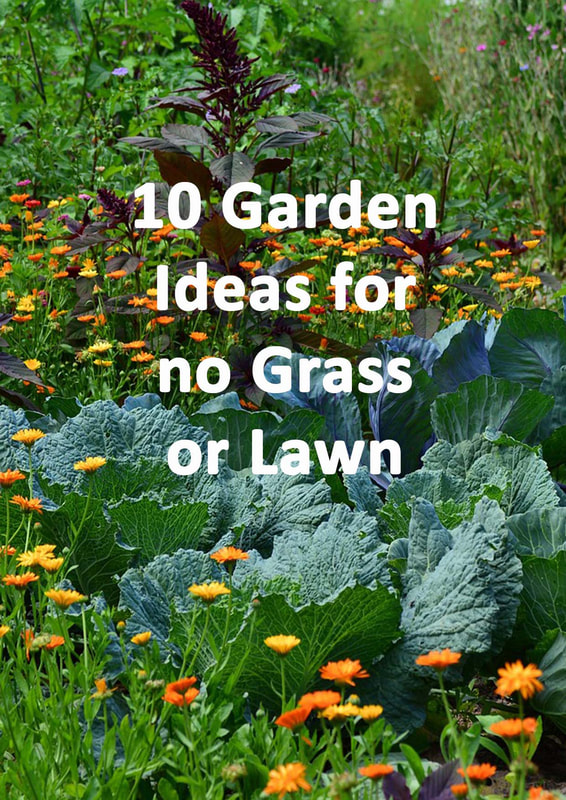 Garden ideas for no grass