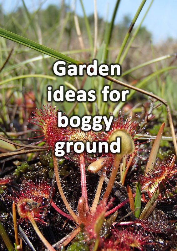 Garden ideas for boggy ground