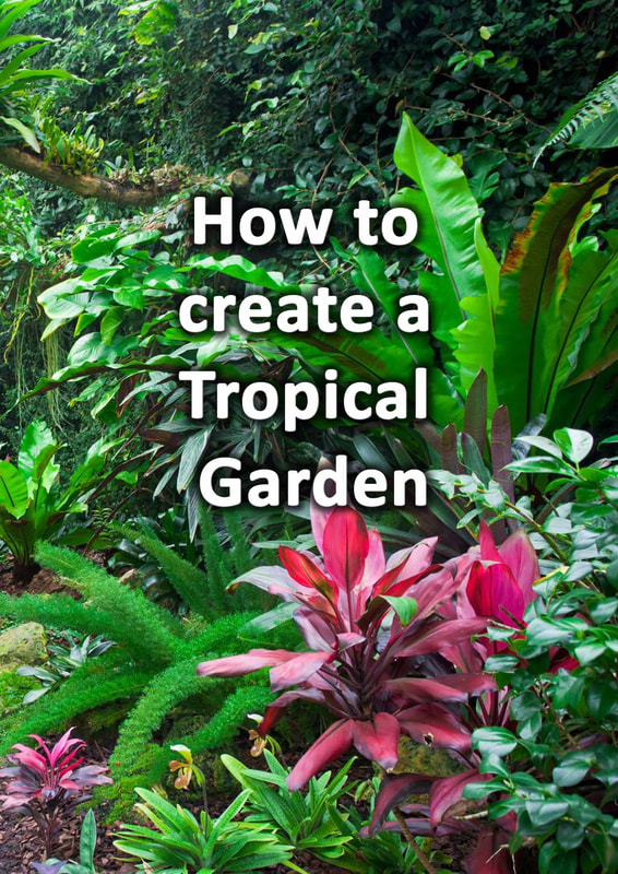How to make a tropical garden