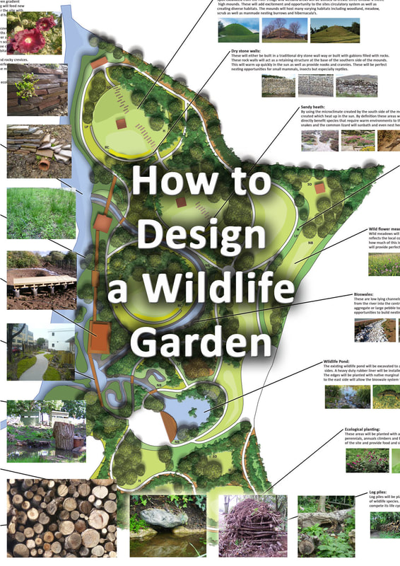 Wildlife garden design