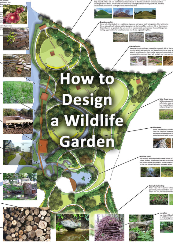 How to design a wildlife garden
