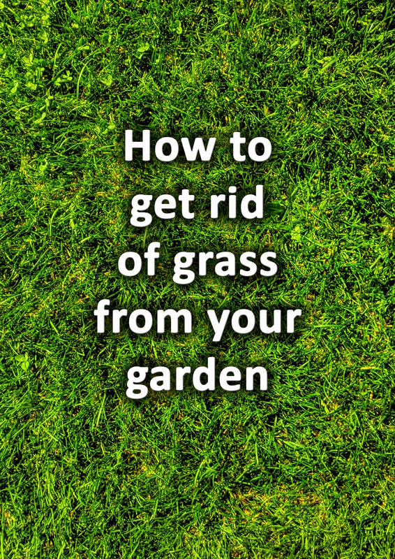 How to get rid of grass from your garden 