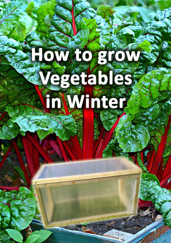 How to grow vegetables in winter