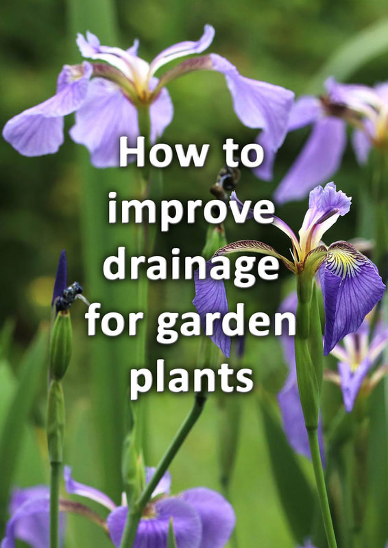 How to improve drainage for garden plants