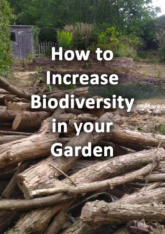 How to increase biodiversity in your garden