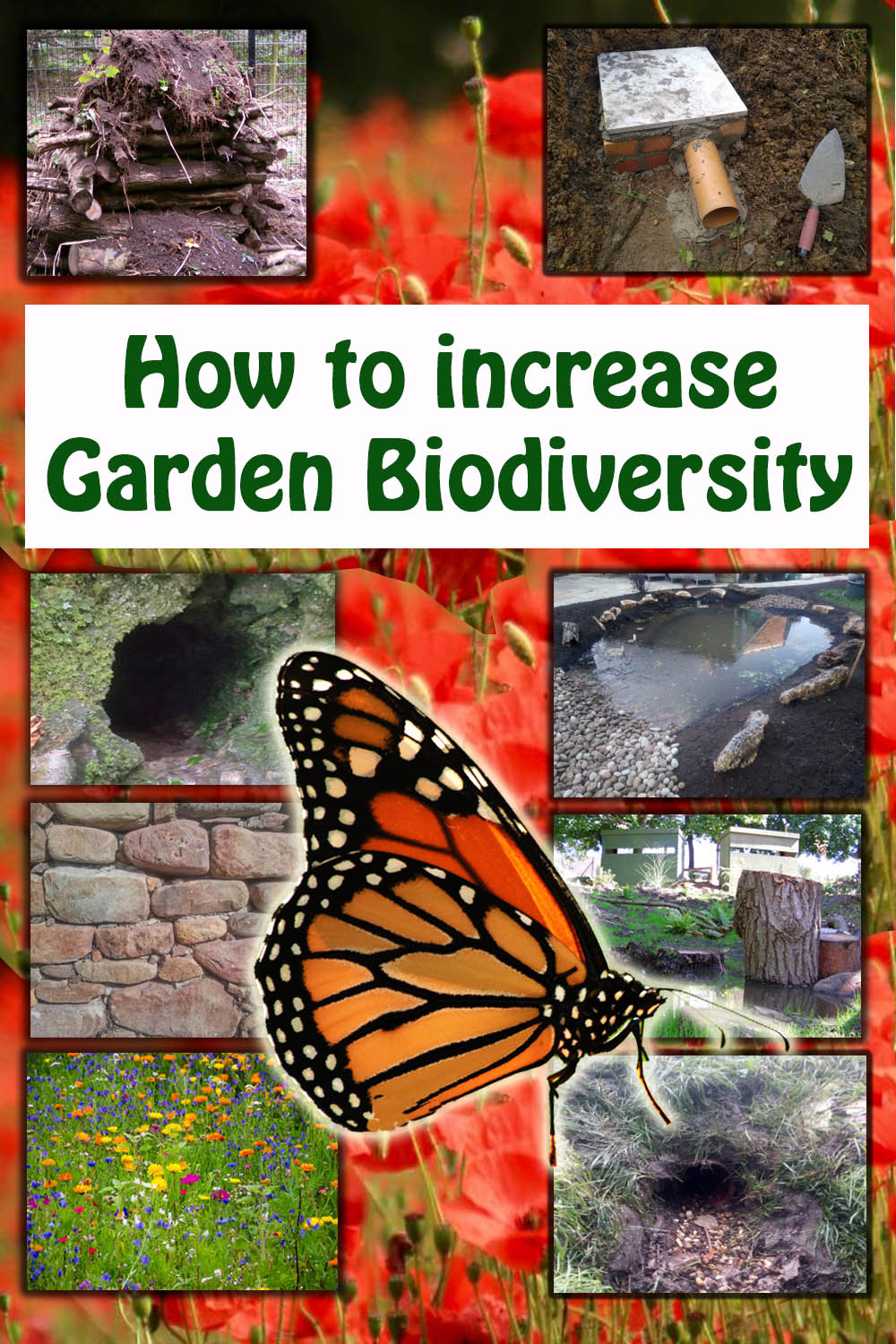 How to increase garden biodiversity