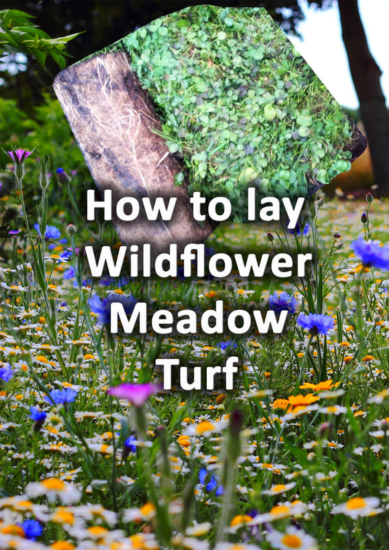 How to lay wildflower meadow turf