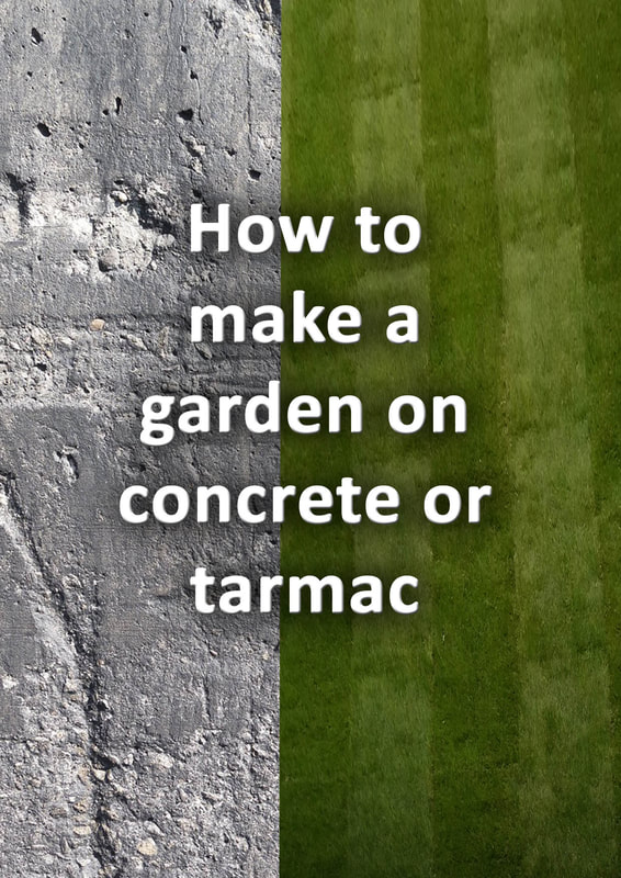 How to make a garden on concrete or tarmac