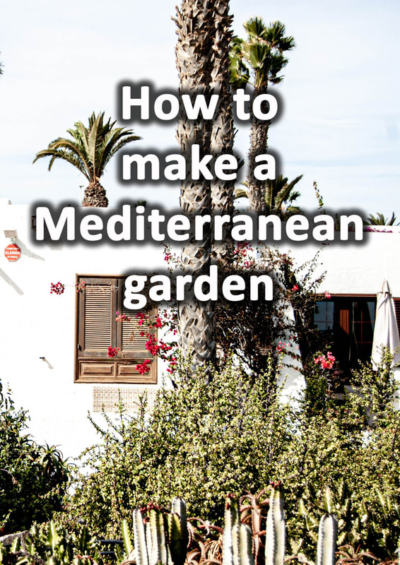 How to make a Mediterranean garden