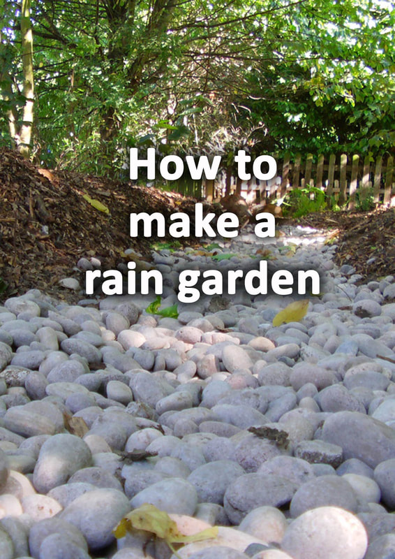 How to make a rain garden