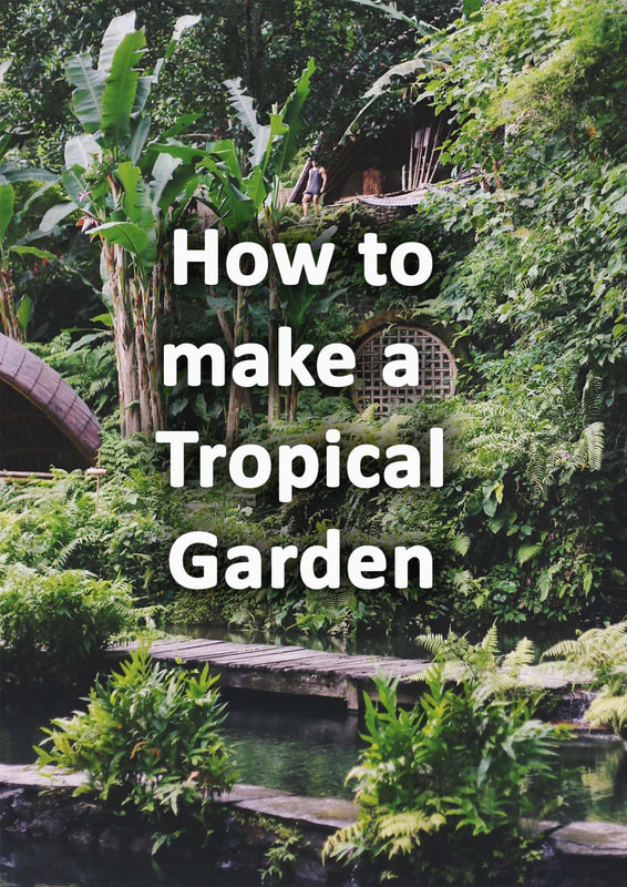 How to make a tropical garden