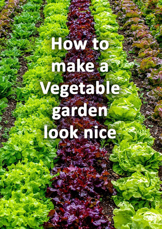 How to make a vegetable garden look nice