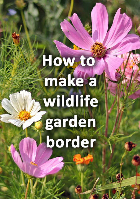 How to make a wildlife garden border