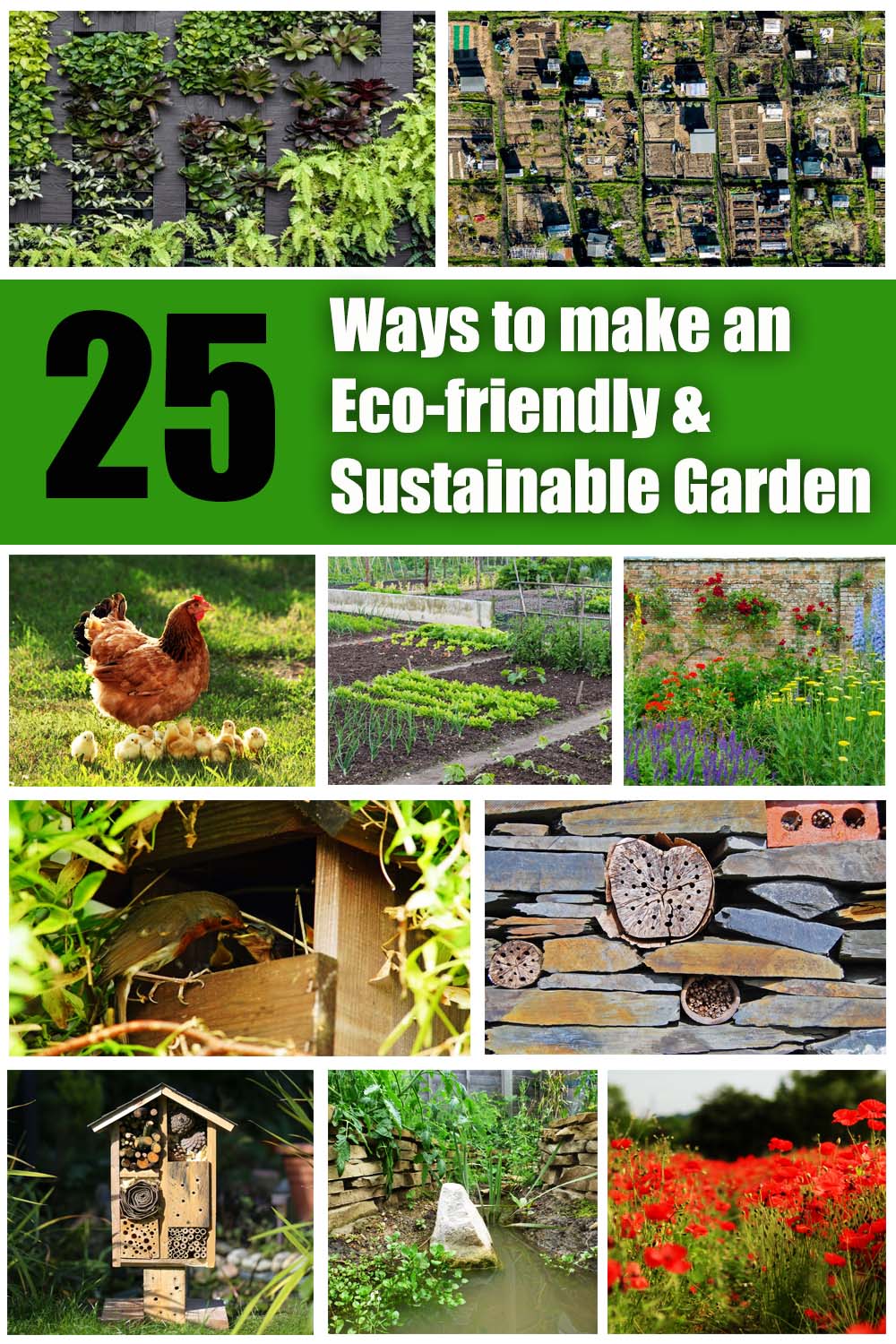 Eco friendly garden