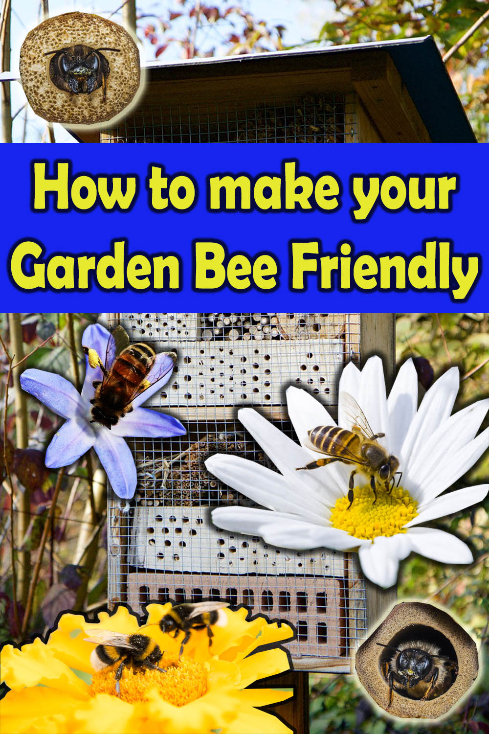 Bee friendly garden