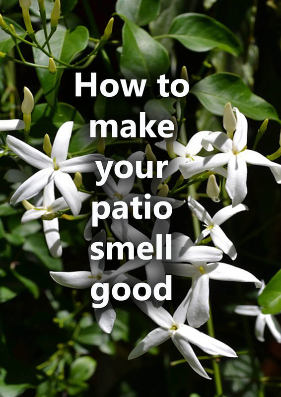 How to make your garden patio smell good