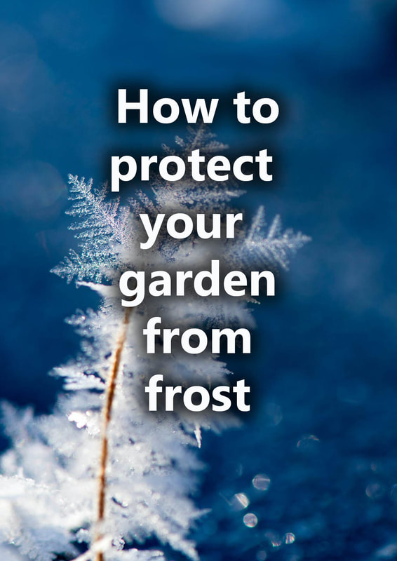 How to protect your garden from frost