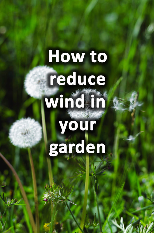 How to reduce wind in your garden