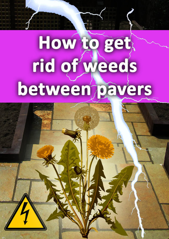 How to get rid of weeds between pavers
