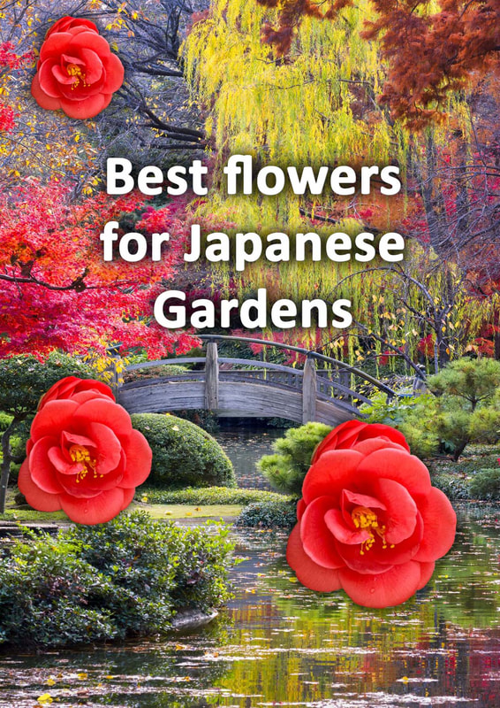 Best flowers for Japanese gardens