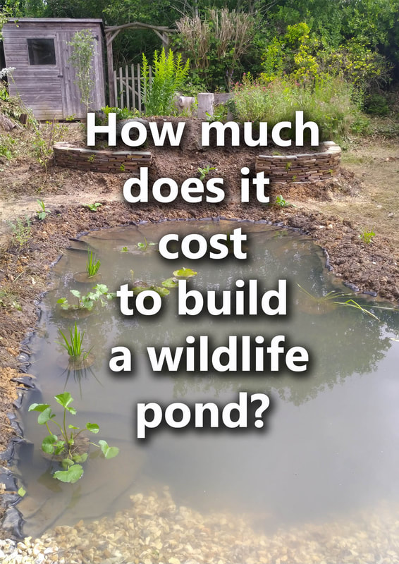 How much does it cost to build a wildlife pond? 