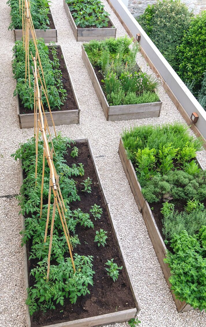 raised growing beds