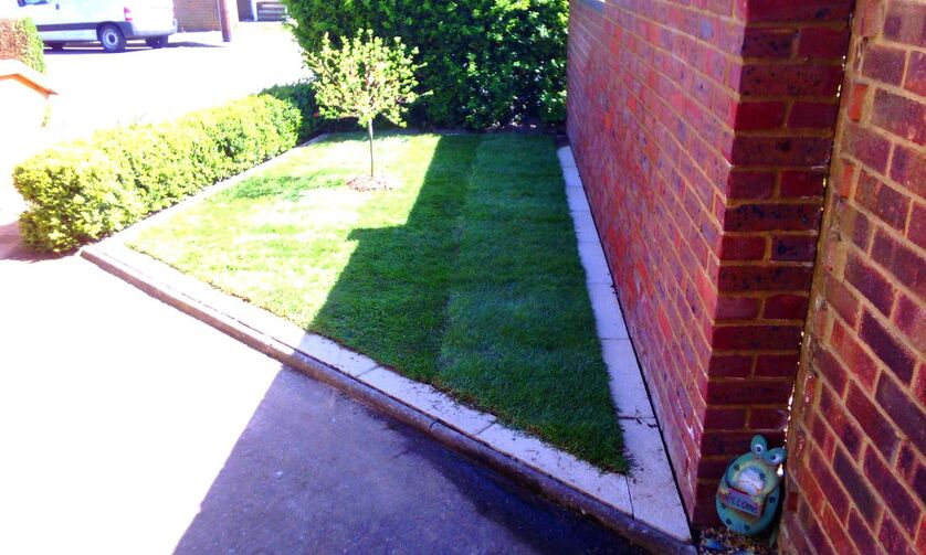 Paving edging for lawns