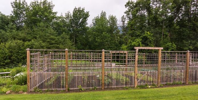 Boundary fencing for vegetable garden