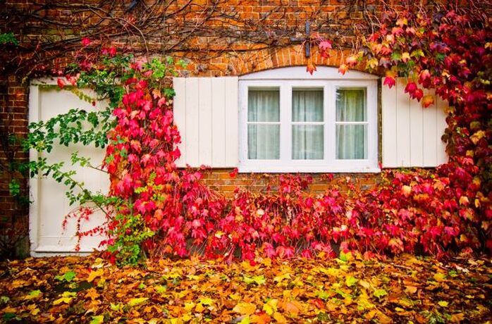 Cottage with seasonal interest