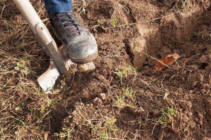 Digging soil