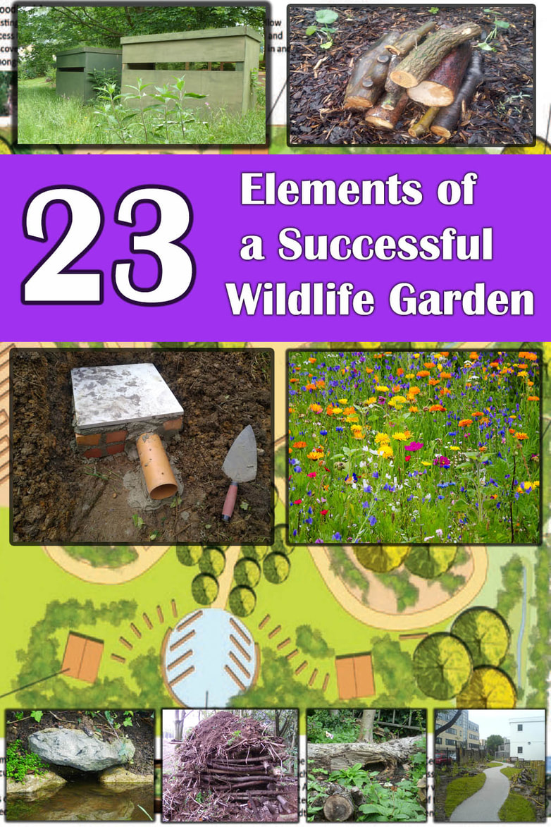 tips for wildlife gardens