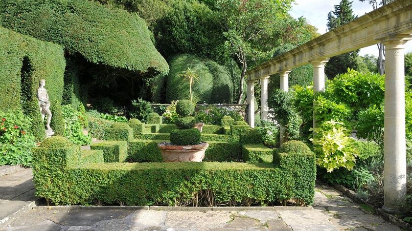 English garden topiary