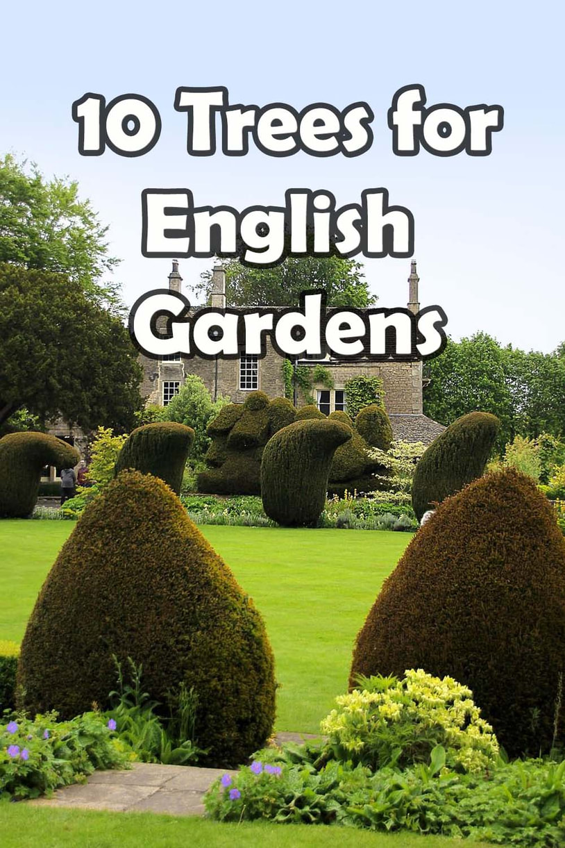 English garden trees