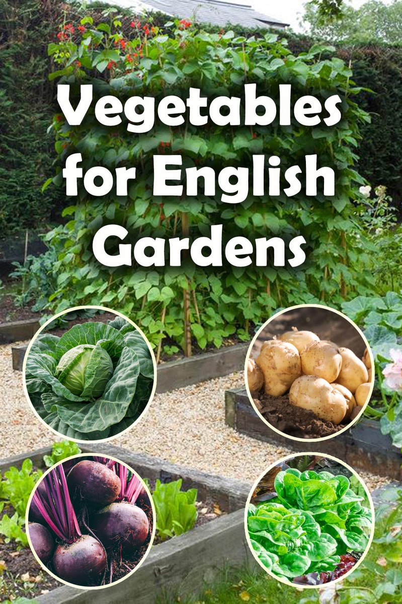 English garden vegetables 